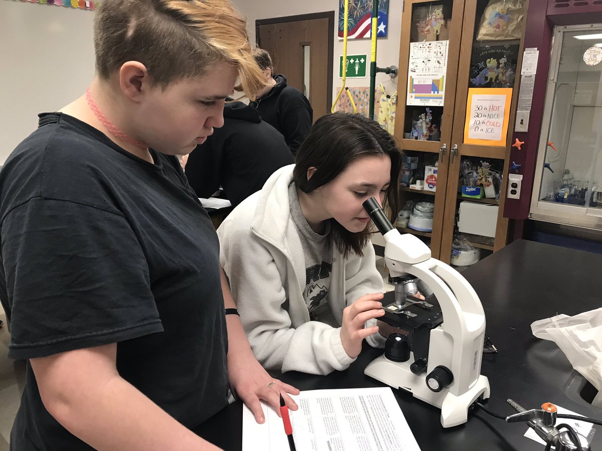 MHeimScience's tweet photo. 7th grade Science (period 1) working on the Microscope Scavenger Hunt #gopherscience https://t.co/k93mE9uEUA