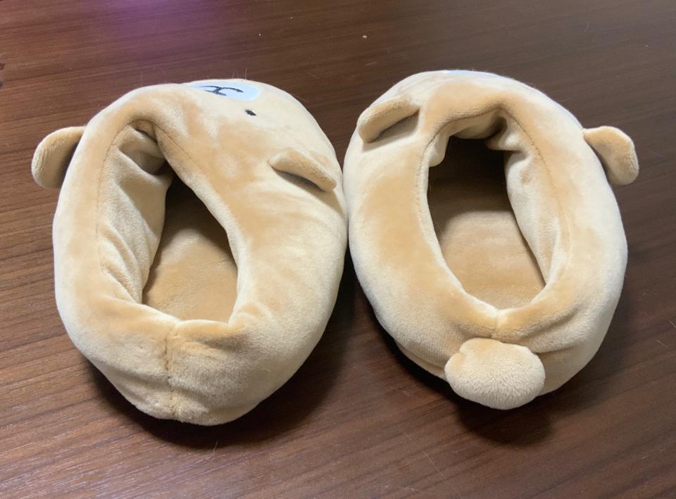 ひとつなくなってももうひとつあるから安心だね…でもやめてね… 
