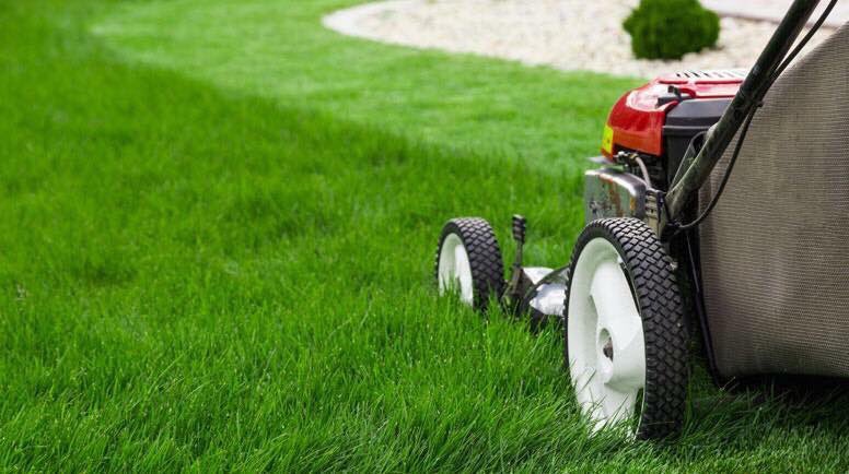 FullCarelawn's tweet photo. April is National Lawn Care Month so here is a quick tip as we ready our lawn mowers...mow at the right height!!! Generally remove no more than 1/3 of height of the grass.  Long. Live. Grass!!! https://t.co/MhzKIXLCkU