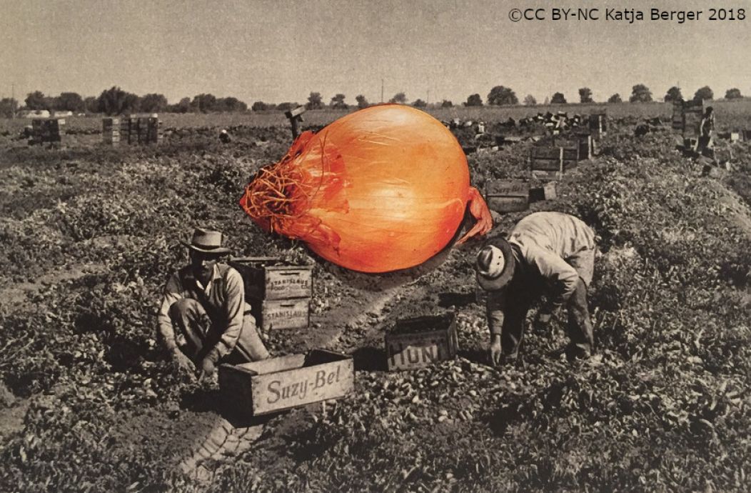 ACDH_OeAW's tweet photo. Exploring food/history, &amp; everyday culture via #citizenscience &amp; getting young people involved in research - that's what's on the menu at the #exploreAT project from April to July as part of this year's @_CitizenScience Award inititative. More info here: https://t.co/YkL9uuqL5Q https://t.co/9Zs5PovtEI