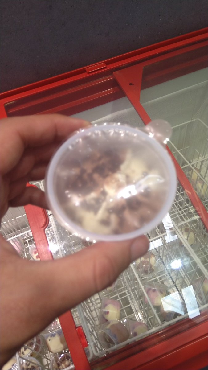 florianfiss's tweet photo. #qscsap #icecream https://t.co/rcv14Q5Gxi