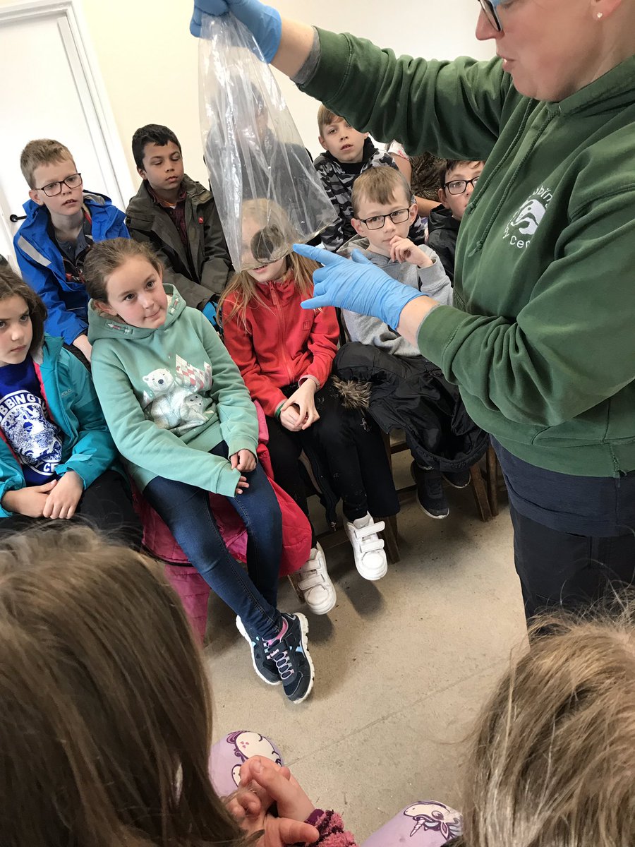 Year 4 Stubbington Trip tweet media