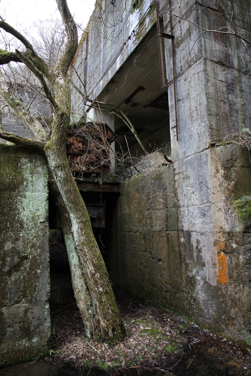 日本廃墟研究所 Nhk Twitter પર 廃墟vol265 偶然見つけた廃鉱 その4 滅びた文明をのぞき見るよな 廃墟 廃鉱 廃鉱山