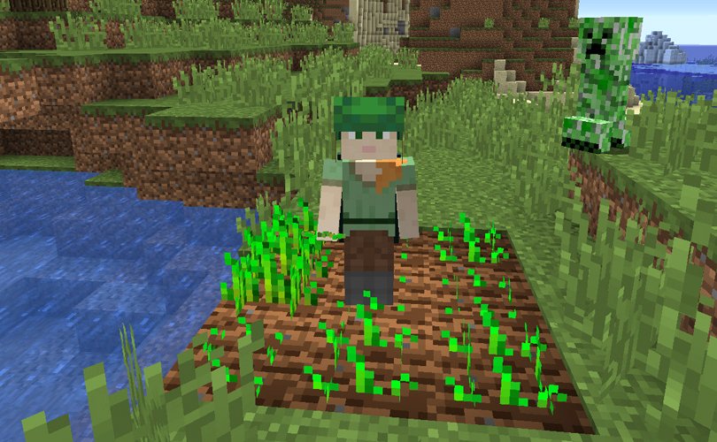 Minecraftさんのツイート Think You Know All About Farming Let Us Sow A Seed Of Doubt In Your Mind And Plant Today S Taking Inventory Seeds T Co Vfwebrj6cm T Co 5o7xtu6qgt