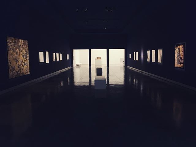 Francesco Sandonà tweet media