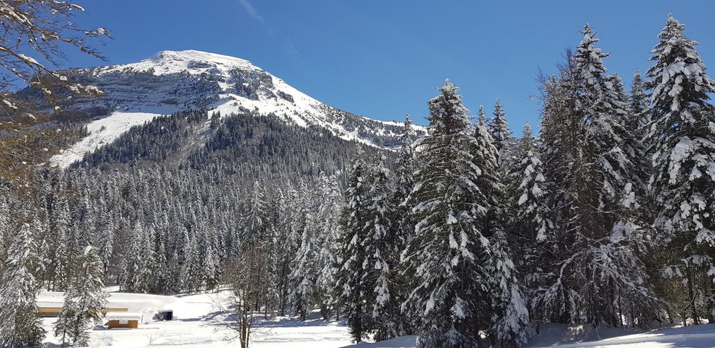 AleksandraBG's tweet image. #PauseMidi Et une autre séance de ski de fond, absolument inespérée ! C'est vraiment top de vivre et travailler à #Grenoble ! 🤩
Merci @Coldeporte 😍
#lovemyjob #lovemylife