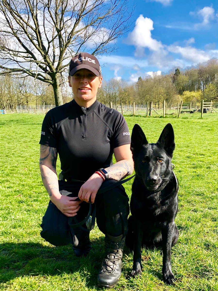 PSOSDogs's tweet image. Congrats to our new team. Unfortunately PD Herbie had to retire due to ill health, but PC Hills own dog stepped up and sailed through her course, well done to PD Medea! #PoliceDogs #TartanDogs #TheNoseKnows 🏴󠁧󠁢󠁳󠁣󠁴󠁿🐾
