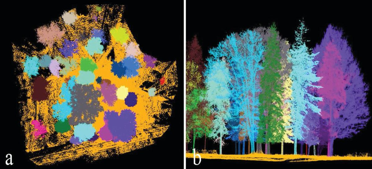 hsynyrtsvn's tweet photo. New Publication in Turkish Journal of Agriculture and Forestry: Individual tree measurements in a planted woodland with terrestrial laser scanner https://t.co/pnqdH36jKu @akgul489 #TLS #LiDAR https://t.co/MY9TZ06yHo