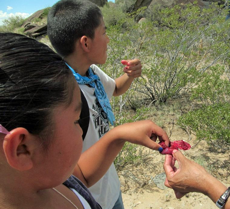 NativeChildren's tweet image. A7: Celebrating traditional foods is integral for celebrating strong and thriving families.

Each tribal community’s unique culture and strengths—like traditional foods—provide the foundation to support the safety, health, and spiritual strength of #Nativechildren. #FoodFri