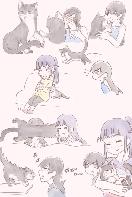 #ひかまひ
養貓日常 