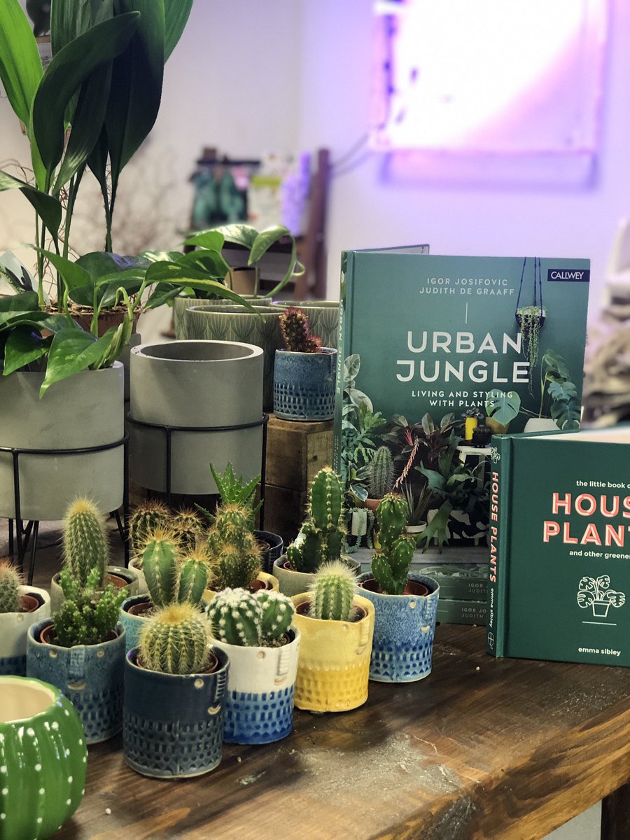 violet_palm's tweet photo. We are ready for Saturday. Hope to see you tomorrow! #plants #cactus #chester 🌱 🌵 💐 https://t.co/FN0uZAeqID