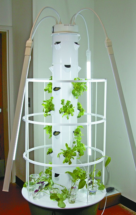 hamptonchron's tweet photo. Tower garden gives fresh lettuce to CAL students year round
 https://t.co/O1UF7EzwiC https://t.co/cRTz99w6SM