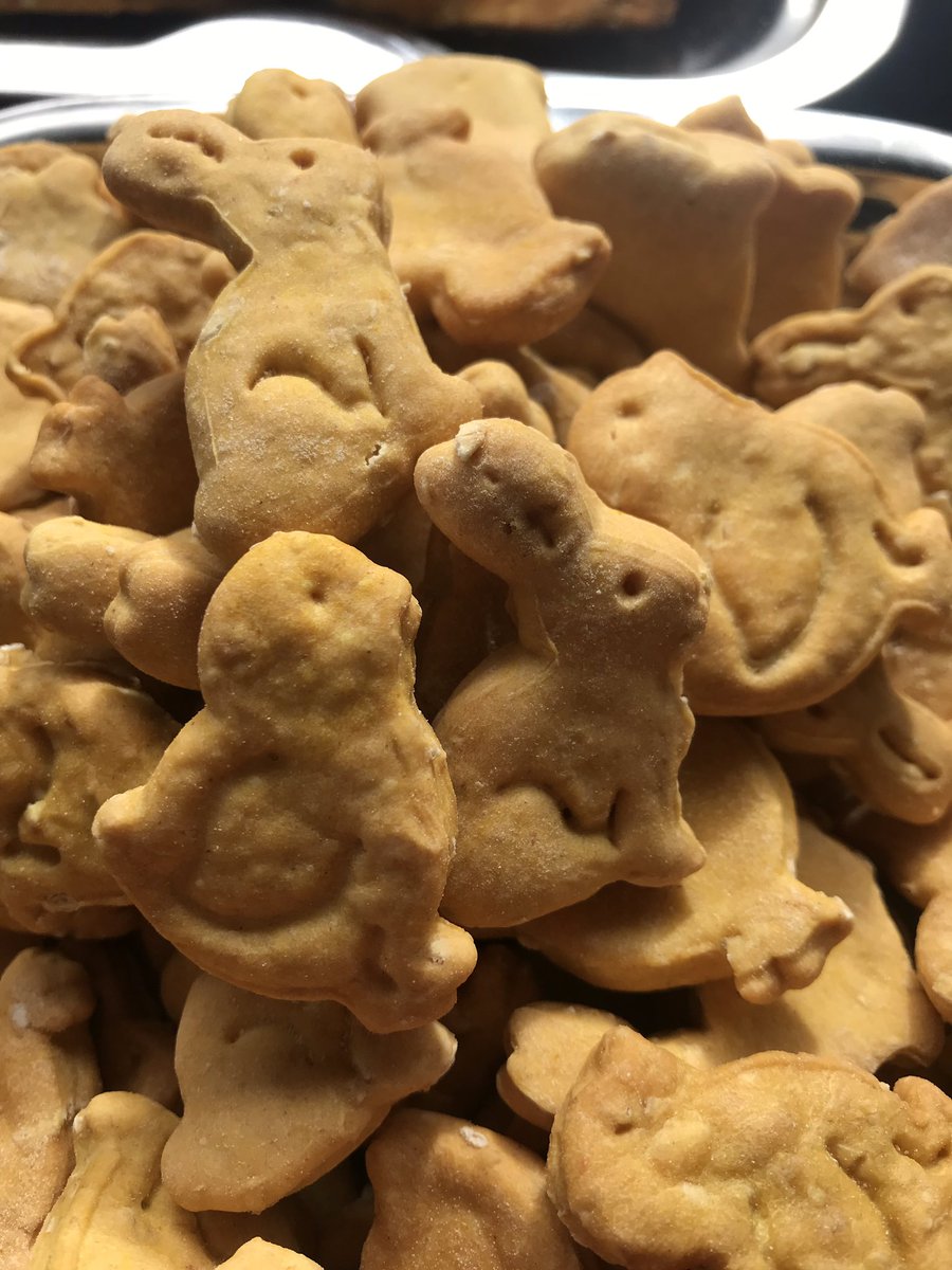 SnaffleS WabbitS at Hove monthly Saturday Market tomorrow!