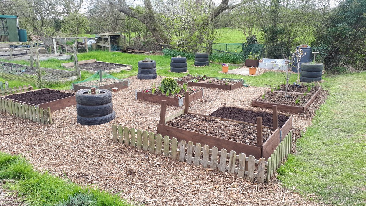 Plot 1 looking good