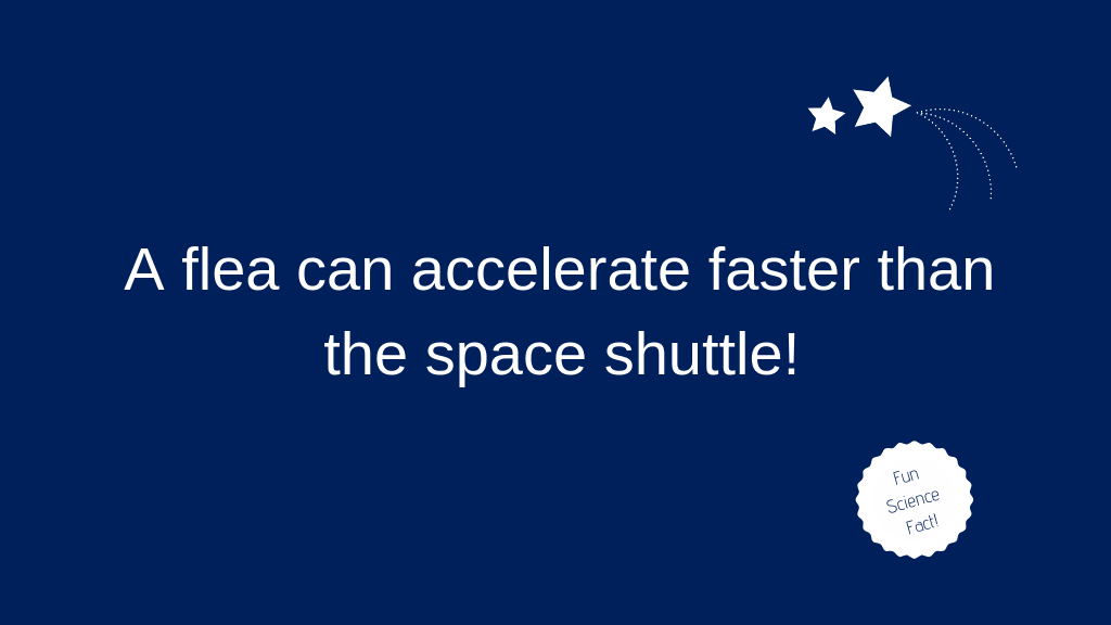 thegirl_element's tweet photo. It's #FunScienceFact Friday! Why not have some fun with your children with this one over tea tonight?
Fact courtesy of @HowItWorksmag #scienceisfun #scienceforall https://t.co/sysc3uDDRR