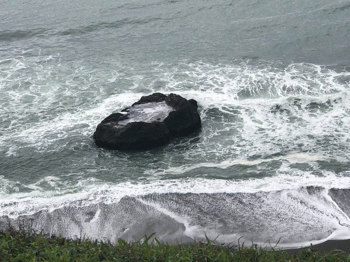 KarenMintonWSB's tweet image. #BodegaBay #GoatRock #KarensTravels