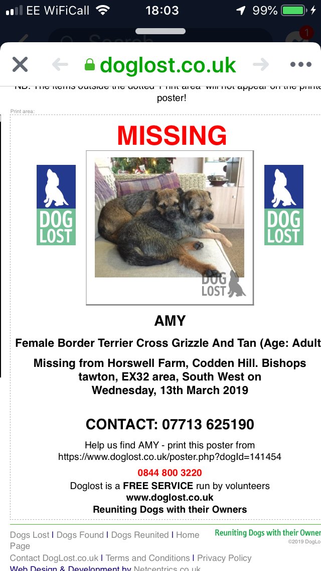 #TagTheDogTeam tweet media