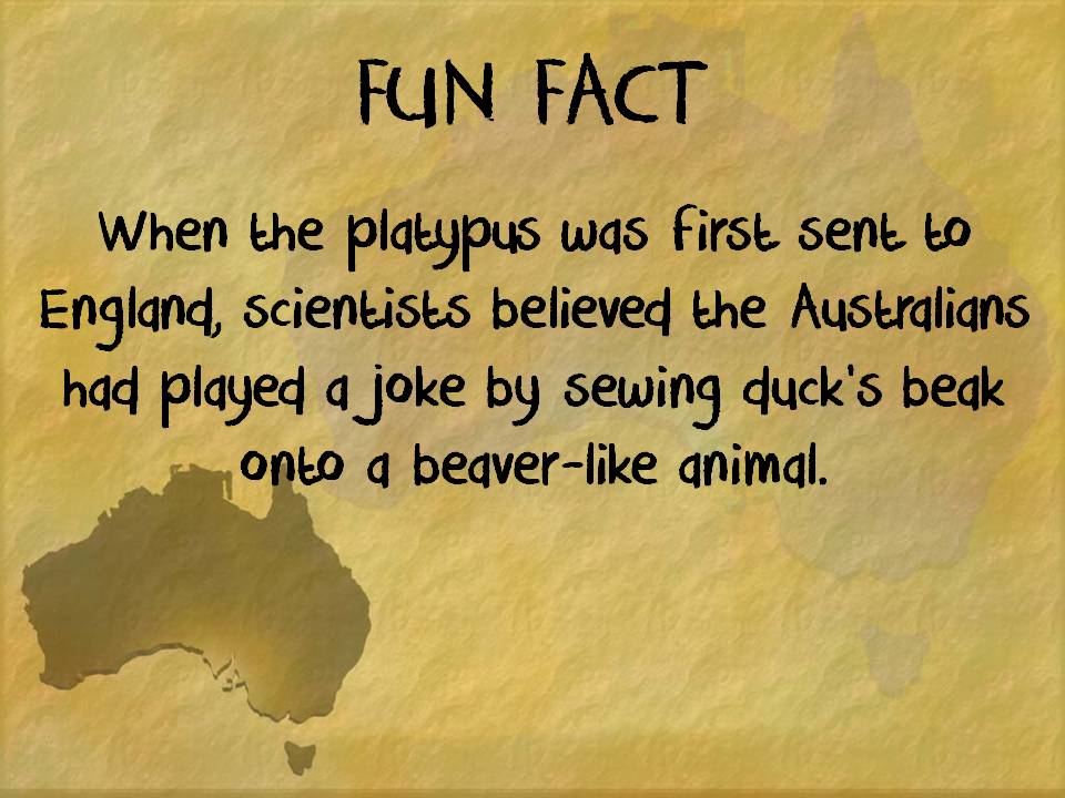 DataServiceCtr's tweet photo. Well, we don't have platypuses, but if you want to plan a field trip to Australia we have an app for that. https://t.co/MmwS75U7C2