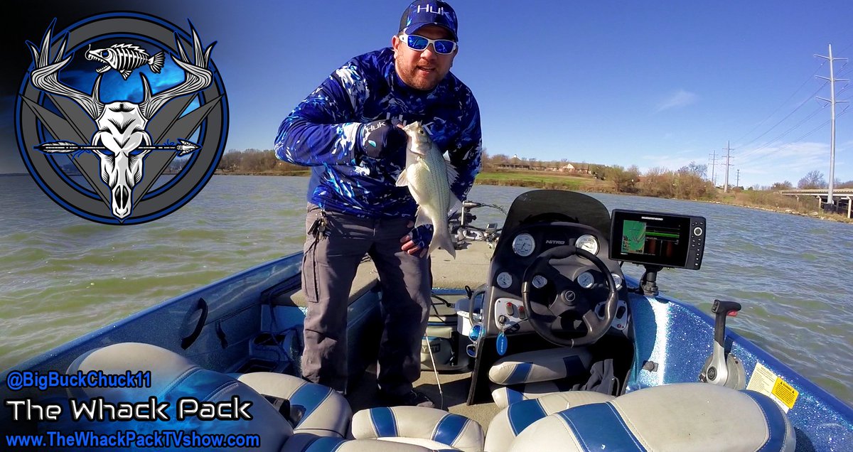 bigbuckchuck11's tweet photo. Not what I'm lookin for, but I'll whack'em!
https://t.co/QmMwRTjBJD
#TheWhackPackTVshow
#StuckByChuck
#WhackinWhales https://t.co/DKLH0rFMsL