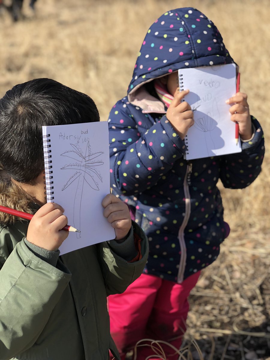 We SEE buds growing on the trees. We WONDER when they will bloom.        We THINK they will bloom into leaves. 🌳 #natureplay #getoutside #inquirybased #FDK #learnthroughplay #springishere #wildernessadventures