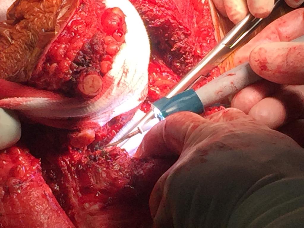 RUTILIGHT tweet media