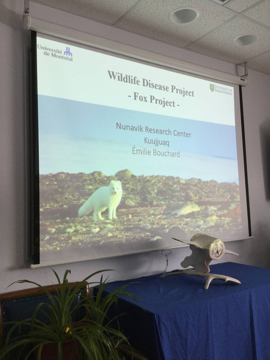 embouchard5's tweet photo. Last week, I participated to “The Science of Indigenous Knowledge: Quebec Aboriginal Science Fair 2019” in Kuujjuaq. A great way to exchange knowledge and ideas with students and their teacher. #Kuujjuaq #Nunavik #polarscience #WCVMvetmicro #usask #umontreal https://t.co/835S4v22CR