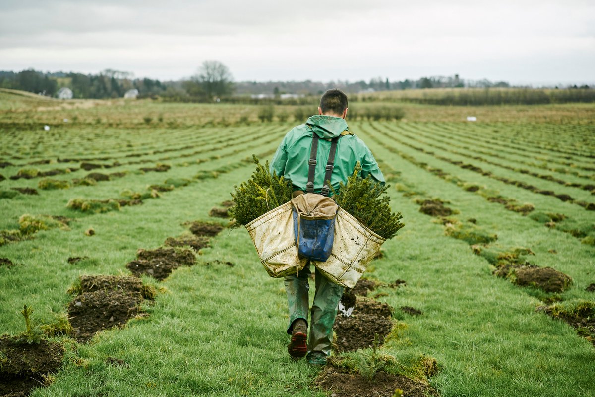 ForestryLS's tweet photo. This week, we became Forestry and Land Scotland, and launched our new website. This is who we are, and what we do: https://t.co/9AfPOo9Eze If you have any questions about our new name, or any of the forests and land we manage, please get in touch. We're happy to help! 😃 🌳 🌲 https://t.co/02FiWaA0r3