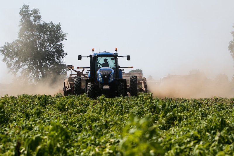 As federal election approaches, <a href="/OntFruitVeg/">OFVGA</a> will be working closely with Cnd Hort Council on national issues affecting fruit &amp; veg growers incl. food safety, labour, crop protection and trade @CHC_CCH