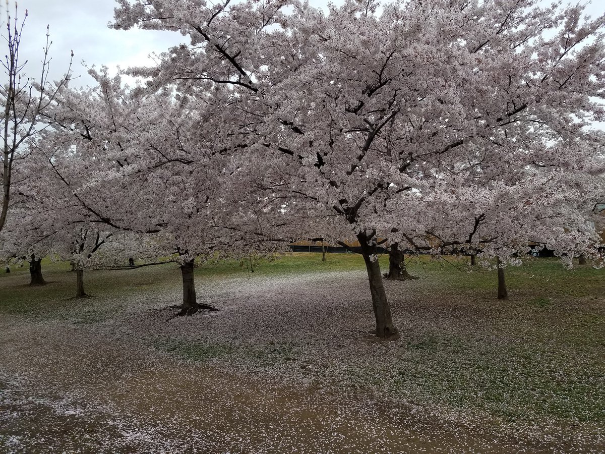 A beautiful morning with <a href="/DanielsMiddle/">daniels middle toe</a> 8th Graders #dmsindc19