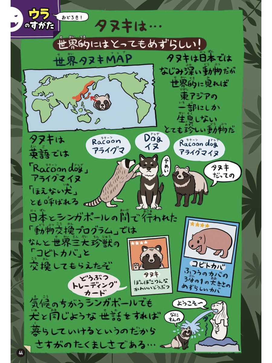 『平成狸合戦ぽんぽこ』が金ローでやってるので拙著『ゆかいないきもの㊙️図鑑』よりタヌキのページを。世界的にも珍しい動物なのです。英語では「ラクーンドッグ（アライグマ犬）」…。 