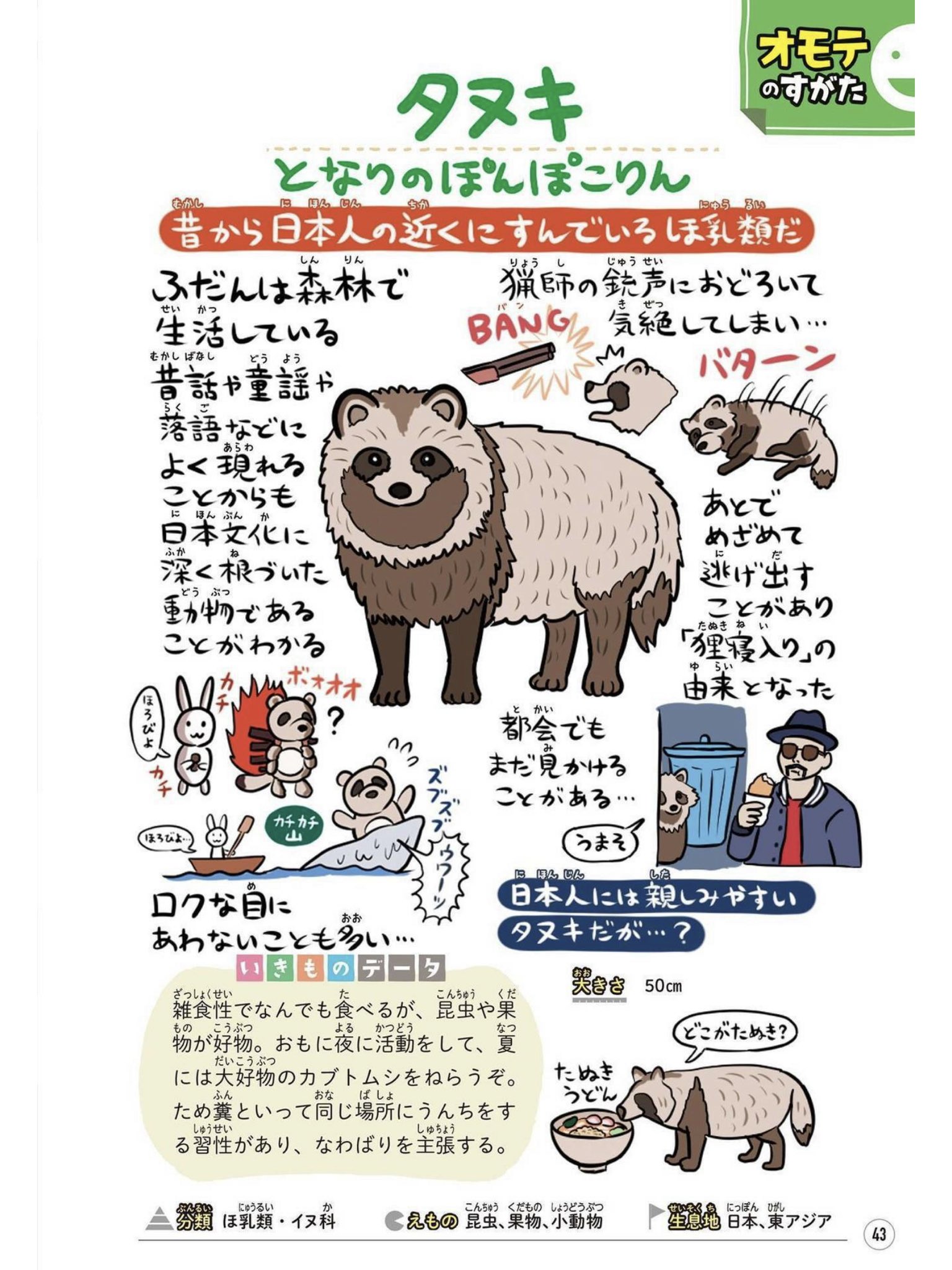 تويتر ぬまがさワタリ ゆかいないきもの超図鑑 ３ ８発売 على تويتر 平成狸合戦ぽんぽこ が金ローでやってるので拙著 ゆかいないきもの 図鑑 よりタヌキのページを 世界的にも珍しい動物なのです 英語では ラクーンドッグ アライグマ犬