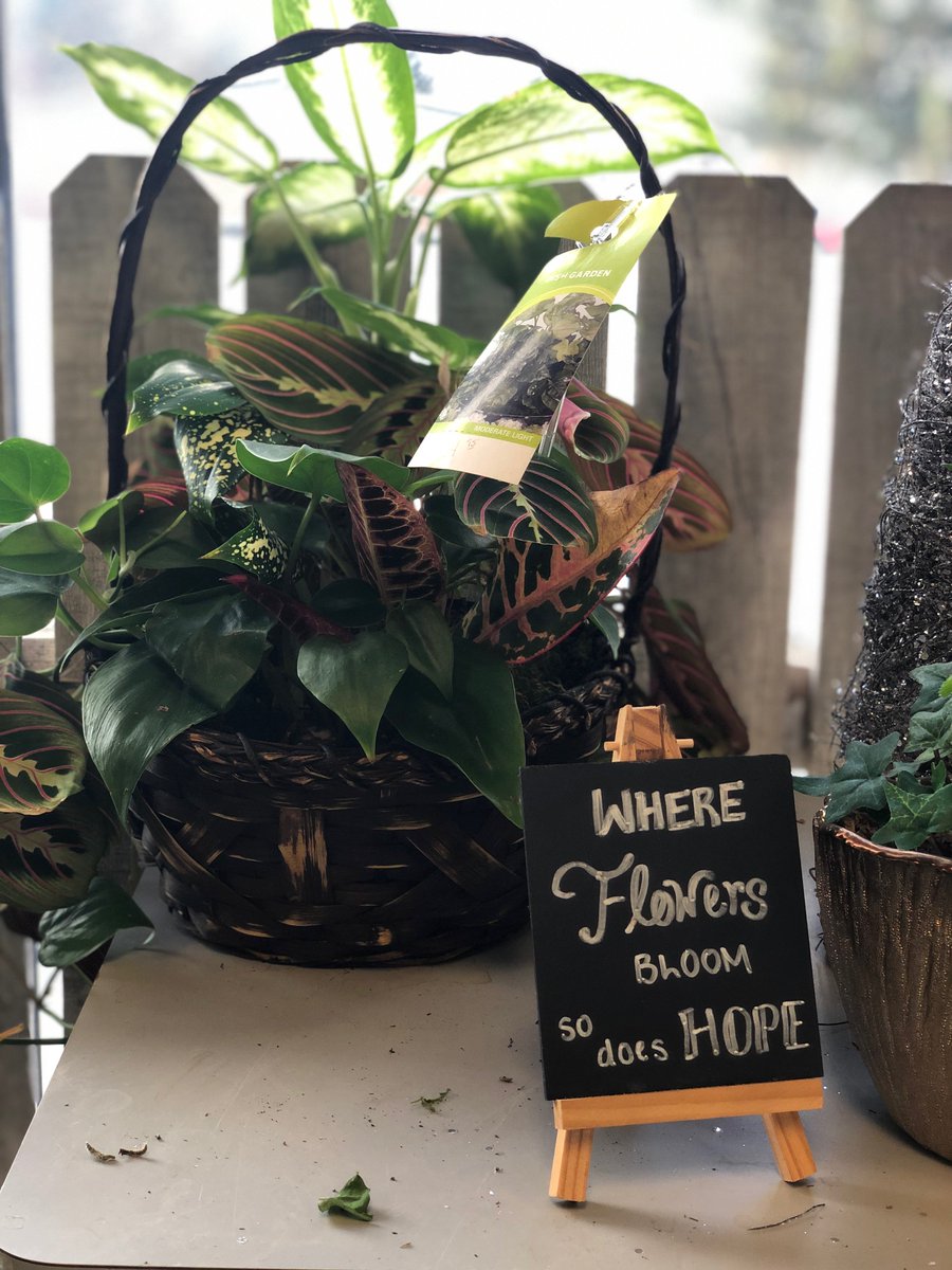 GardenFlorists's tweet photo. Happy Friday, friends!🌷 Bring a touch of cheer home with flowers and plants from @GardenFlorists. 💐Order them for delivery at https://t.co/LJwJAXF9iG. #floralgardenflorist #MansfieldOhio #AshlandOhio #Sayitwithflowers #hope #HappyFriday https://t.co/tyqrRtWsi6