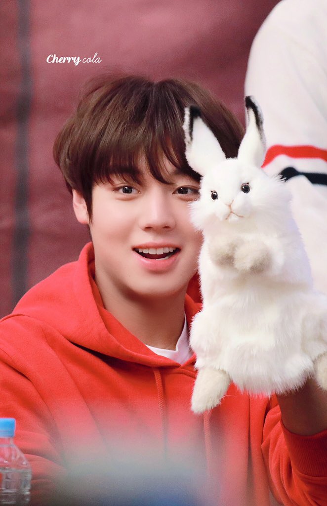 cherrycola_nw's tweet photo. 190405 🐰🐰🐰🐰💕
#박지훈 #지훈 #PARKJIHOON #JIHOON https://t.co/mOOj4VwkIm