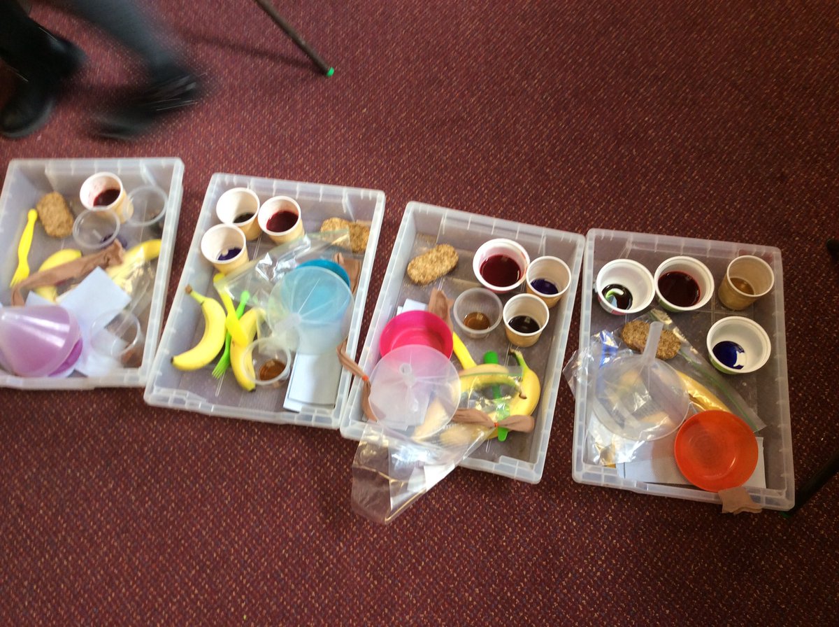 ABCPschool's tweet photo. #Class5J Poo experiment 💩 #SuperScienceSession https://t.co/Xne21KzoHY