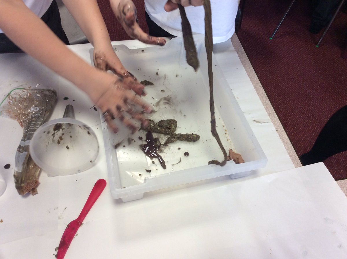 ABCPschool's tweet photo. #Class5J Poo experiment 💩 THE RESULT 🤢🤢#SuperScienceSession https://t.co/aqdW2W2Kfh