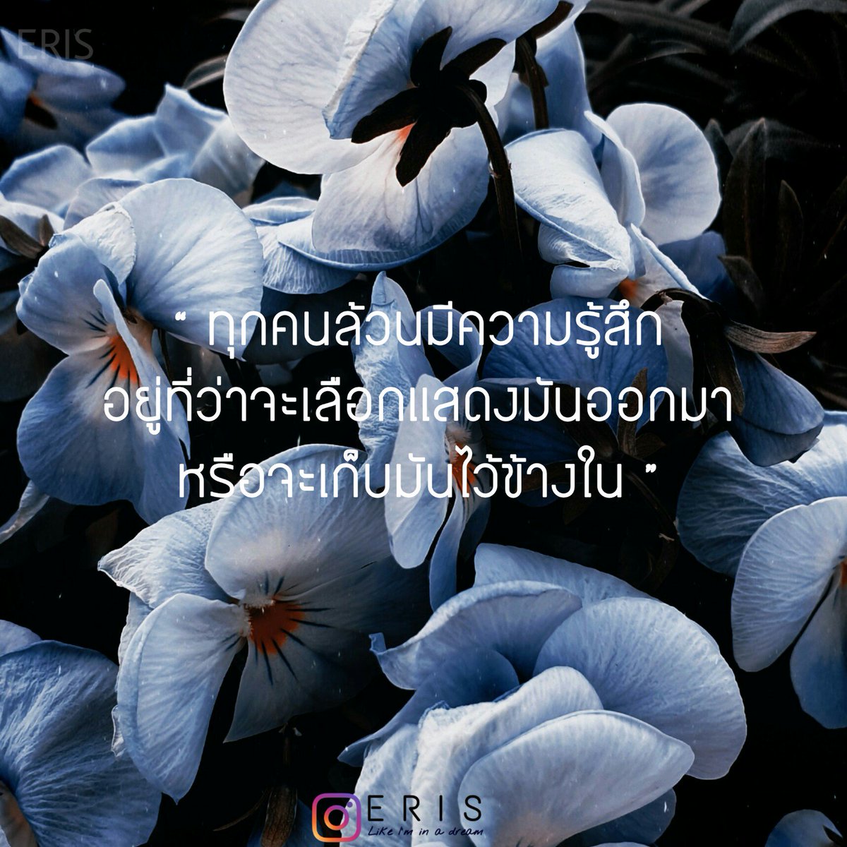 DIAMOND69423515's tweet photo. ฝากติดตาม IG : eriss.z ด้วยนะคะ🐰🍑
https://t.co/9LLMEdGBda

#eris #atonetime #กาลครั้งหนึ่ง #ความรู้สึก #เศร้า #คิดถึง #เเคปชั่น #เเคปชั่นความรู้สึก #feelings #SafeZone 
#weak #เหงา #เเคปชั่นเศร้า #เเคปชั่น2019 https://t.co/lFetMAHsh7