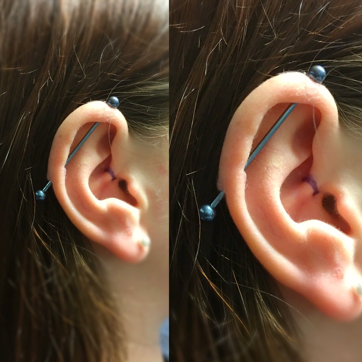 AStepOutThere's tweet photo. A #scaffold #piercing that I did a while ago and then changed to the full length barbell! Initially I pierce with two separate barbells to allow for extra comfort! ✨ check out the jewellery I have available: https://t.co/ptFaj9fXYJ ✨#jewelry #etsy #etsyseller https://t.co/1TfCjJlbSH
