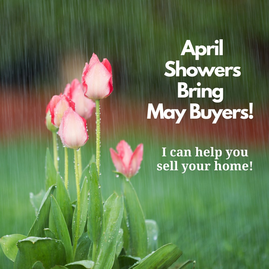 MeisterRealtor tweet picture