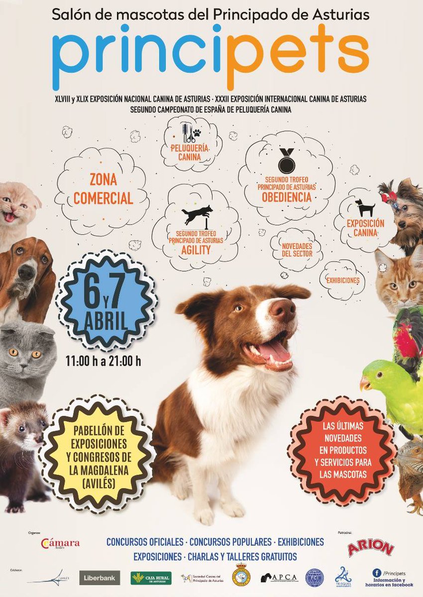 Mañana estaremos en Avilés, Asturias en el evento Principets. Puedes venir a ver a alguno de nuestros perros y venderemos cosas para recaudar dinero.
¿Vienes a vernos? Sábado y domingo de 11h a 21h