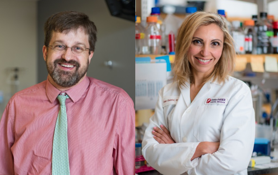 LGlimcherMD's tweet photo. Catching cancer early is key to saving lives. @DanaFarber's new center led by @IreneGhobrial and @DavidSteensma will help make progress. https://t.co/W9OqCaqxmZ https://t.co/ZCDKv8KLc0