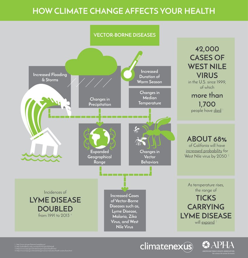 APHAEnvironment's tweet photo. #VectorBorneDiseases are also a way in which #climatechangeshealth. Changes in precipitation and temperature and increases in flooding and storms can alter the behaviors of vectors and expand their geographic range to new areas, exposing more people to these diseases.

#NPHW19 https://t.co/Wz6pi5YRBp