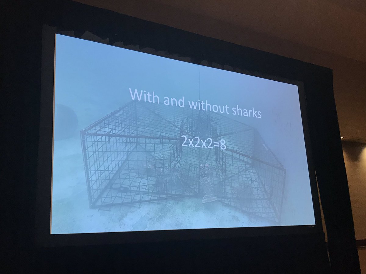 epvoigt's tweet photo. Great talk by @RobertJNowicki  investigating ways to prevent nurse #shark #bycatch in #spinylobster cages. The solution: trap doors, 🦈 push out while 🦞 pull and fall back in.  Also amazing #fishfail photos #BEM2019 https://t.co/4s5T60azSd