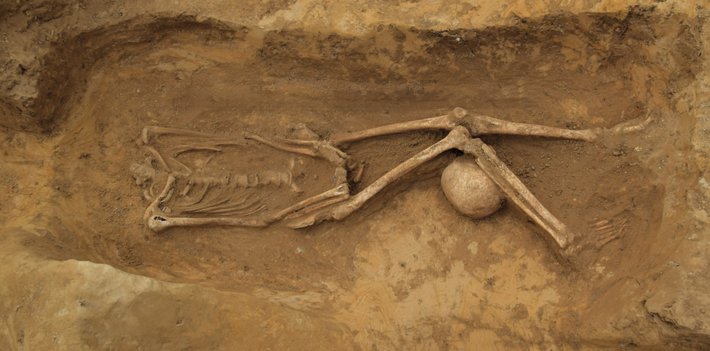 archaeologymag's tweet photo. At least 17 of the bodies buried in a Roman cemetery in Suffolk, England, were decapitated, with their skulls placed at their feet or tucked between the legs of their otherwise intact skeletons
https://t.co/af3DRPpLYq https://t.co/MB5mtDyl5F
