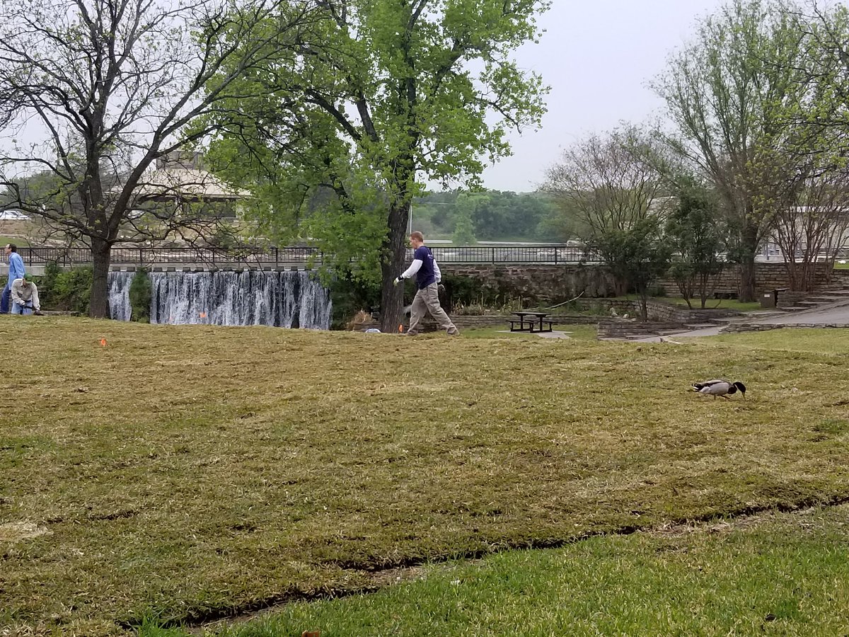 royce_ahrlett's tweet photo. #lcrastepsforward in San Saba laying grass over old city pool https://t.co/bpDHkyUzBE