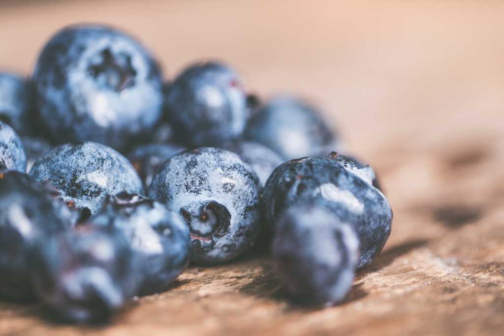 ExperiencePALE0's tweet photo. These blueberry muffins are the perfect balance between sweet fruit and savory dough.
.
.
.
#blueberry #muffins #paleo #natural #glutenfree #sugarfree #healthy #foodfreedom #nomorecravings #breakfast #bread #grainfree #seasonal… https://t.co/ZSZCGSZVkE https://t.co/SWH3idiZVa