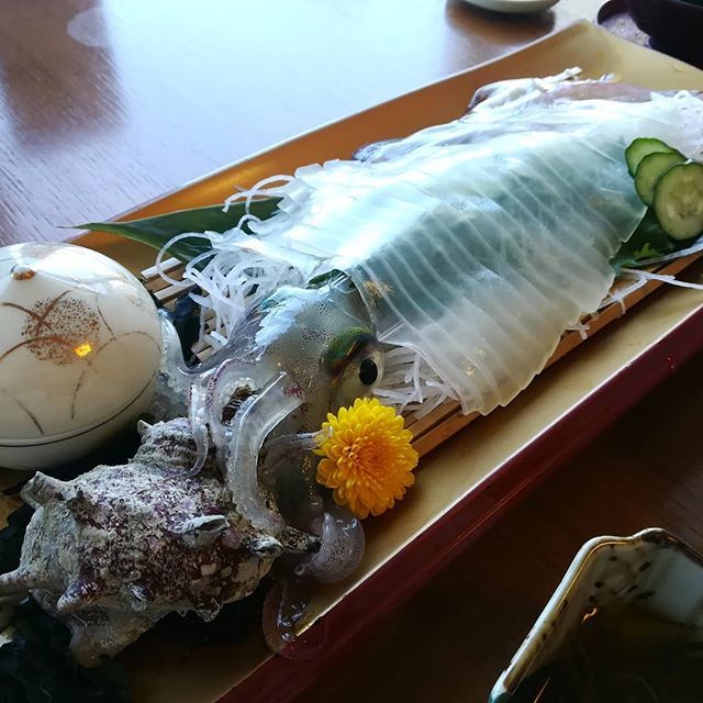 はっちゃんねる 特牛イカバリぃ旨い 特牛イカ 角島 山口 剣先イカ 夢岬 日本海 T Co Bsk8bpsbln はっちゃんねる 特牛イカバリぃ旨い 特牛イカ 角島 山口 剣先イカ 夢岬 日本海 T Co Bsk8bpsbln