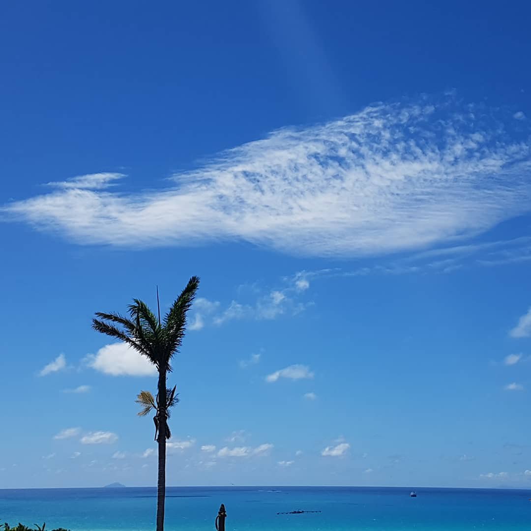 ButterflySoul15's tweet photo. When it's rainy outside find some blues to mesmerize your mind! Weekend lookout!
📷 by Sally Davis
#bluesky #FridayFeeling #WeekendVibes #HappyFriday #birdsoftwitter #whatcoollookslike #antigua and barbuda #palmtrees #blueocean https://t.co/2LqAOgylbe