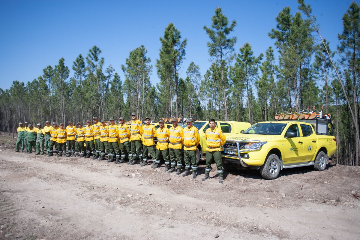 agricultura_pt's tweet photo. Governo melhora acesso das Equipas de Sapadores Florestais aos apoios 

#SapadoresFlorestais #apoios #Governo #MAFDR #SEFDR #fundoflorestalpermanente #ICNF https://t.co/wy2yJZ2SyQ