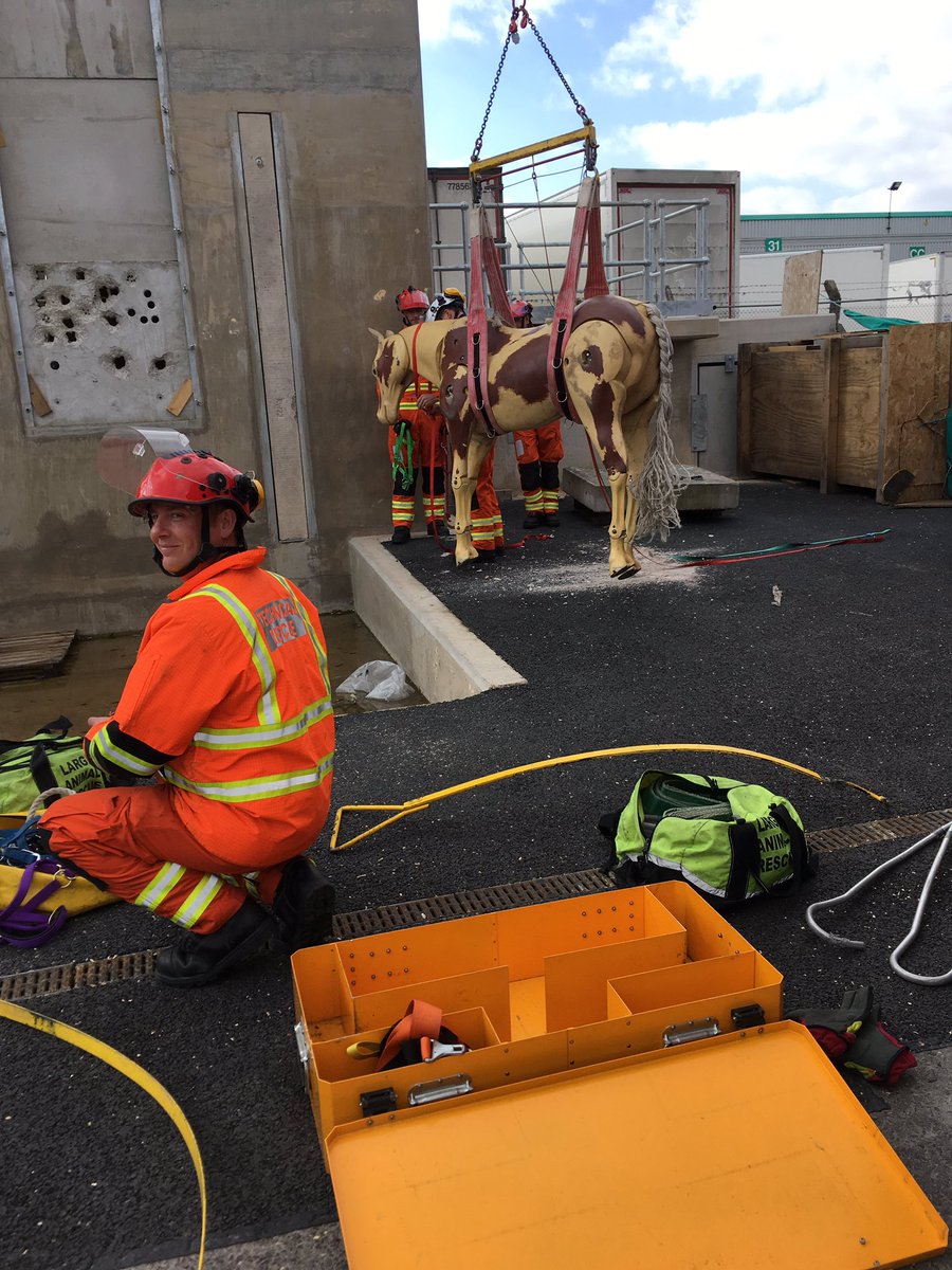 JarronSusan's tweet photo. Visit to Leicester &amp; Rutland Fire &amp; Rescue training centre with Matthew Watson and a horse being rescued! https://t.co/cFM0gwBSmU