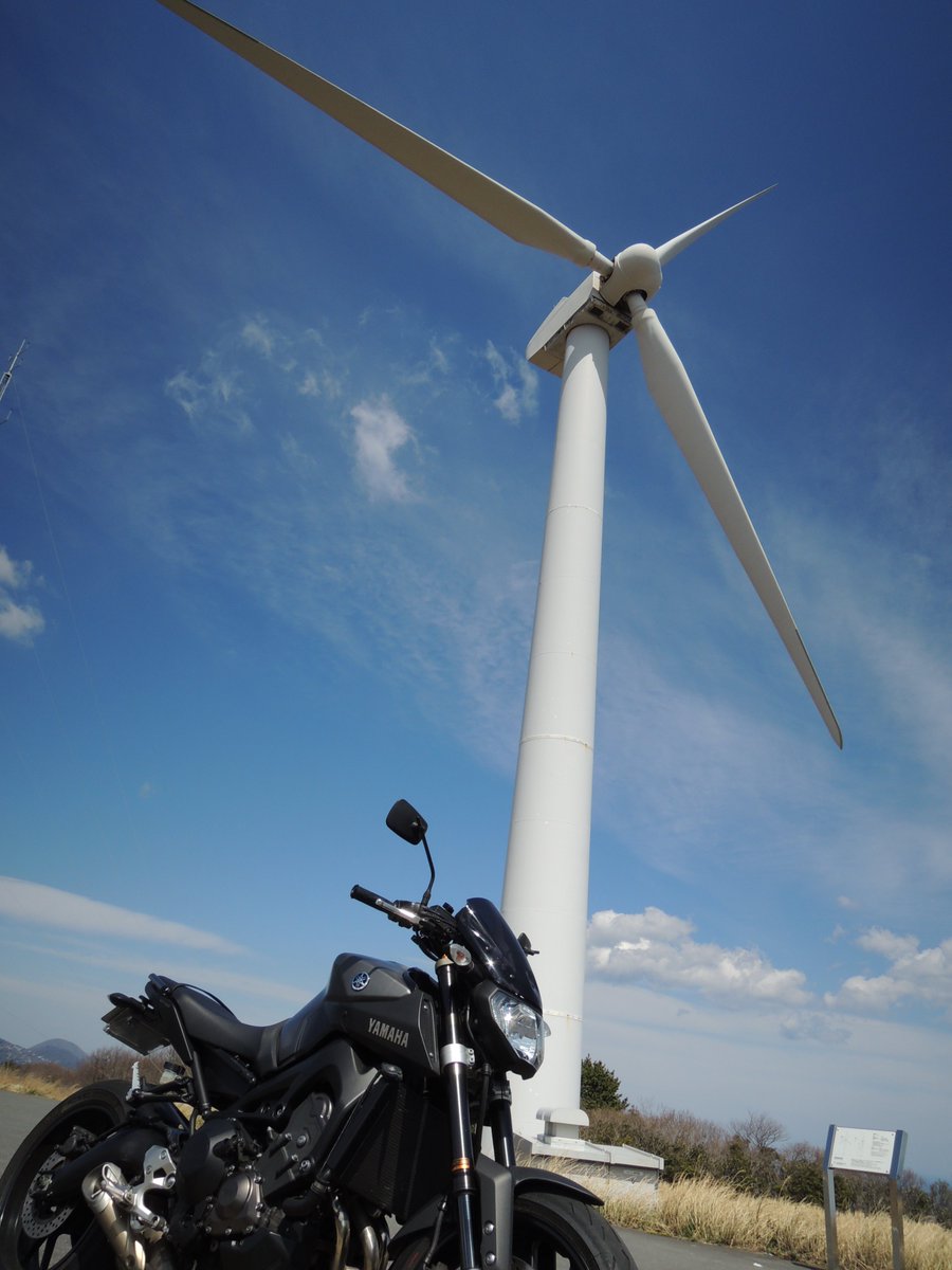 fuxima daisuke tweet media